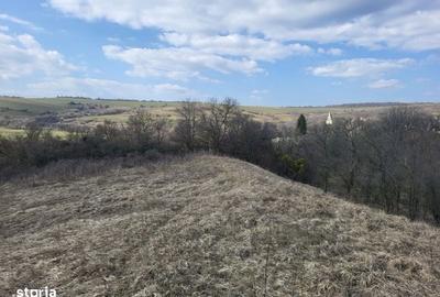 Teren de 11000 mp, în Ștrand - 4