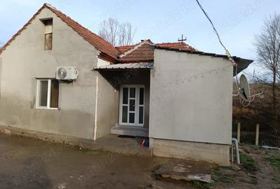 Casa de vinzare gradina ?i un hectar de teren 2 camere baie, coridor beci, bucatarie anexe,exe,, - 3