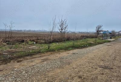 Teren de 10000 mp, în Balotești - 2