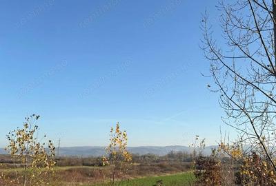 Teren de 18532 mp, în Gurasada - 4