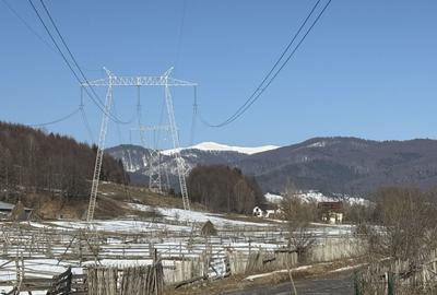 Teren Construcții intravilan de 4521 mp, în Valea Doftanei - 5