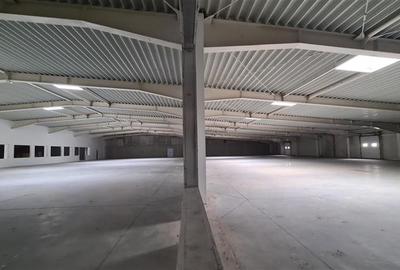 Spațiu comercial, de 4,800 mp, în Aradului - 12