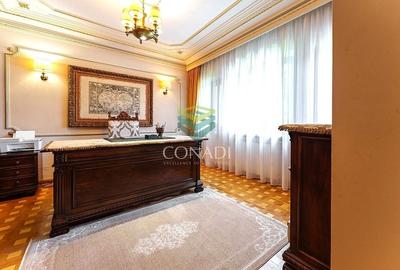 Iancu Nicolae, vila speciala cu 6 camere, 1621 mp teren, de vanzare - 5