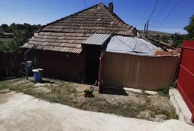 Casă cu 2 camere în Dumești - 5