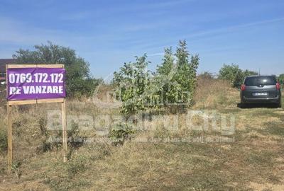 Teren de 545 mp, în Domnești - 5