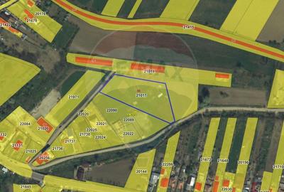 Teren Construcții intravilan de 17581 mp, în Cislău - 2