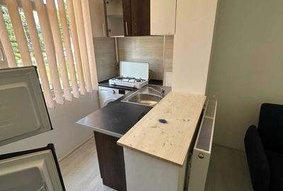 Garsonieră decomandată în Lunca - 7