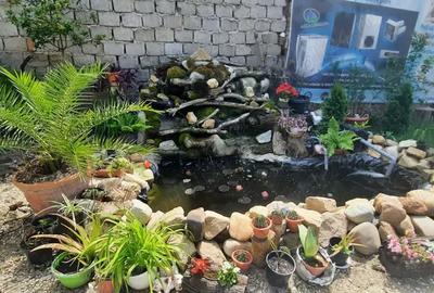 Unic proprietar vand casa cu teren generos! OPORTUNITATE pentru INVESTI?II! - 4