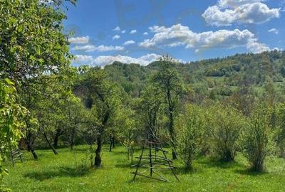 Casă individuală cu 2 camere cu Canalizare în Căpățânenii Pământeni - 4