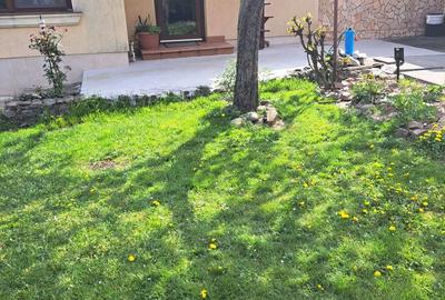 Casă cu 4 camere cu Teren 475 Mp în Cantemir - 5