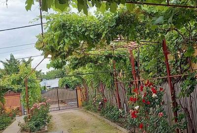 Casă cu 6 camere în Bariera Vâlcii - 3