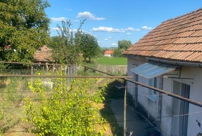 Casa de vanzare, 4600 mp, jud Alba, Craciunelul de Jos - 5