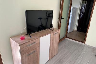 Apartament 1 camera Siderurgistilor-Vest - 2