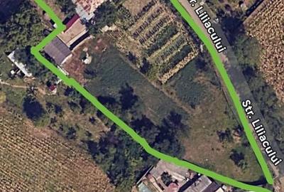 Spațiu comercial, în Curtești - 3