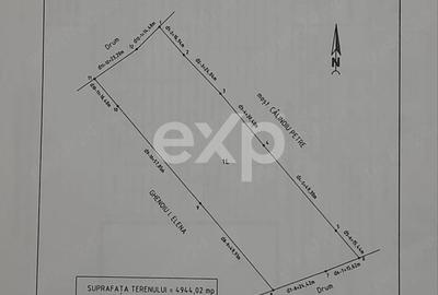 Teren Construcții extravilan de 4944 mp, în Tigveni - 6