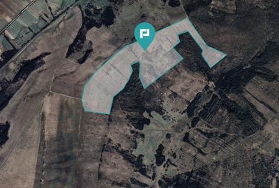 Teren agricol extravilan de 401200 mp, în Secaș - 1