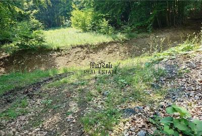 Teren de 5727 mp, în Buceș - 10