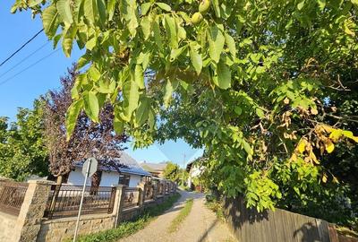 Teren intravilan 1,733mp Mitocasi, Suceava - 9