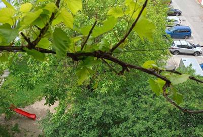 Apartament cu 3 camere decomandat în Central - 8