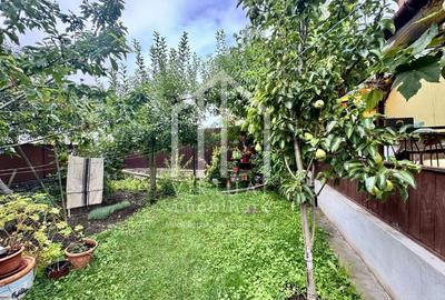 Casa individuala, 505mp teren, pivnita, acces auto, zona Centrala - 14