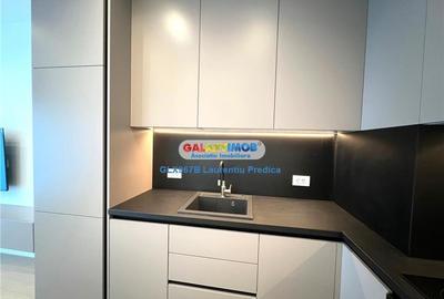 2 camere - Aviatiei Tower, Floreasca, Herastrau, Promenada - 9