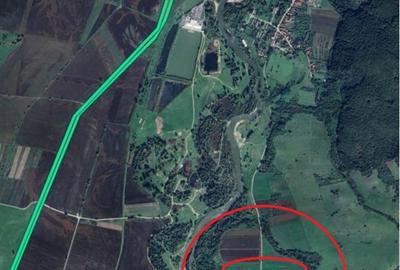 Teren de 9200 mp, în Băcia - 1