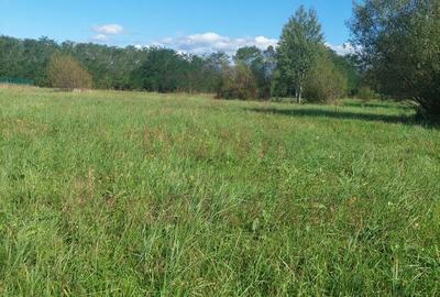 TEREN INTRAVILAN\699 mp, 45€ mp\ CARANSEBEȘ\ ZONA TEIUȘ - 6