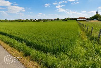 Teren agricol intravilan de 5300 mp, în Vladimirescu - 2