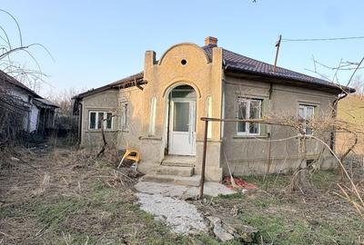 Casă cu 4 camere cu Teren 6294 Mp în Cerbu - 7