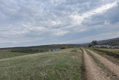 Teren de 4500 mp, în Perieni - 8