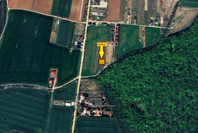 TEREN 500mp | langa Padurea Snagov | IZVORANI | LOCATIE DE VIS - 1