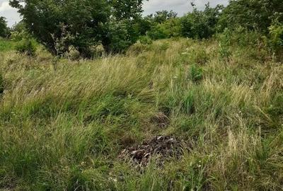 Teren Construcții intravilan de 2750 mp, în Central - 5