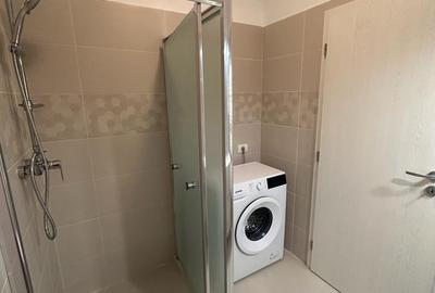 De inchiriat Apartament 2 camere, zona Cetate (Bloc Nou). - 8