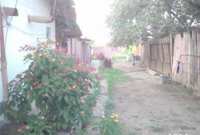 Casă cu 5 camere cu Teren 2800 Mp în Corabia - 2