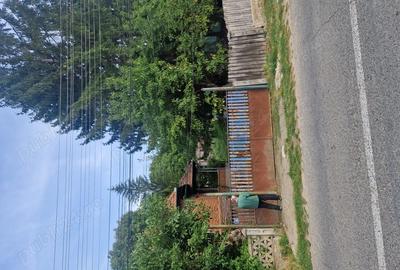 Csa 2 camere. Cosesti-Arges. - 5