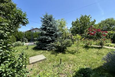 Casă individuală cu 4 camere cu Teren 1500 Mp în Belciugatele - 19