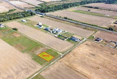 603mp Teren Ghiroda-Cartier Bistra-toate utilitatile - 6