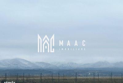 Spațiu comercial, în Bradu - 1