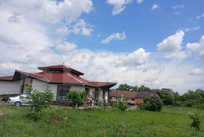 Casa superba in Tinca, 225 mp, 20 ari luciu de apa, teren fotbal, spatii verzi - 9