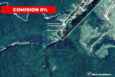 Teren extravilan de 5755 mp, în Stolna - 1