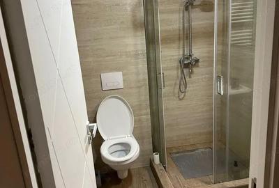 Garsonieră în Elisabetin - 1