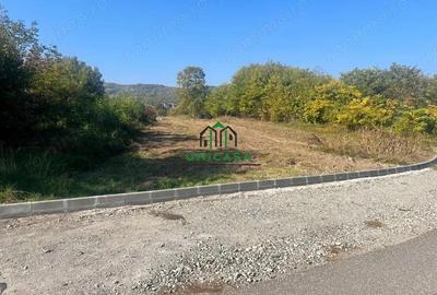 Teren 3960 mp / intravilan / Ramnicu Valcea - 5