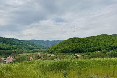 Spațiu comercial, în Ampoița - 10