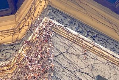 Vila cu arhitectura Aviatorilor - 3