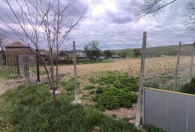Teren de 48000 mp, în Ilișești - 3