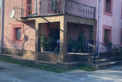 Case Parvu Rosu -Costesti la 13 km de Pitesti - 3