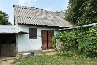 Casa in Con?e?ti, com. Sascut, Jud. Bacau, 1050 mp - 6