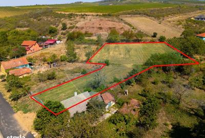 Teren de 4184 mp, în Ghioroc - 7