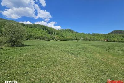 Teren de 5370 mp, în Oituz