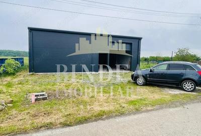 Hala in Pi?chia ideala pentru servicii, depozit sau activitate comerciala - 3